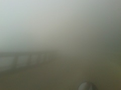 La niebla en el camino