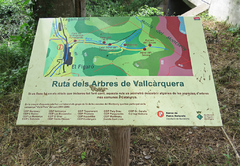 Ruta dels arbres de Vallcàrquera, Figaró