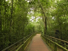 Pasarelas de los circuitos en Parque Nacional Iguazú
