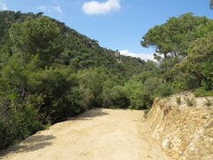 Pista forestal de Cabrera de Mar al Castell de Burriac