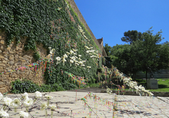 La telaraña de colores y la muralla de Girona