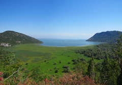 Preciosa panorámica de Skadarsko Jezero