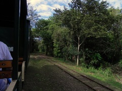 El tren hacia las pasarelas