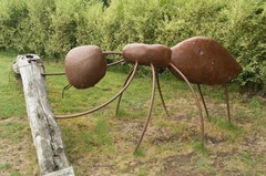 Hormiga gigante