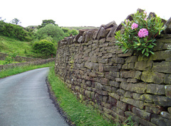Precioso muro en la pequeña carretera de las colinas