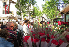 Paradas de rosas en Las Ramblas de Barcelona