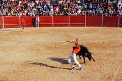 Encierro de toros, fiestas de Sepúlveda, España