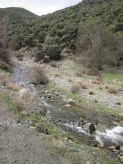La ruta atraviesa el río