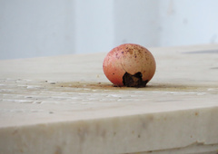 Huevos sobre las tumbas del Monasterio de Cetinje