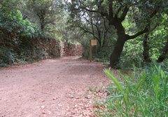 Inicio de la ruta de los árboles de Vallcàrquera