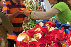 Rambla del Raval, rosas hechas de papel de colores