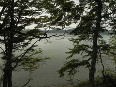 Laguna Negra, Tolhuin, Tierra del Fuego