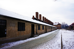 Barracones en Auschwitz I