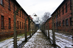 Campo de Auschwitz I