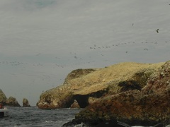 Islas Ballestas,Reserva Natural Paracas