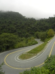 Camino de selva hacia San Miguel de Tucumán