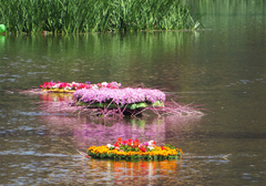 Una pequeña muestra de la exposicion floral en el río Onyar