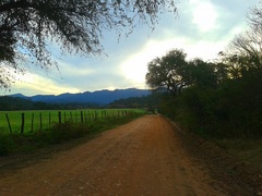 Camino de campos, hacia el Parque El Rey