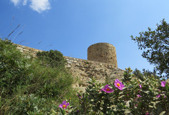 Restos de la muralla oeste del castillo