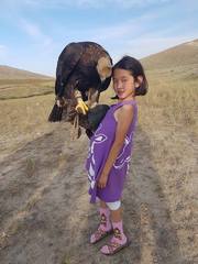 Caza con águilas en Kirgizstan