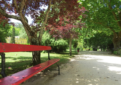 Los rojos bancos del parque Dom Carlos I