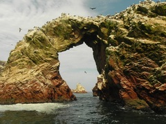 Islas Ballestas, Reserva Nacional Paracas