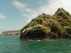 Islas Ballestas, Reserva Nacional Paracas