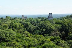 Vista del centro de Tikal
