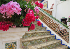 Azulejos de Las escaleras a la terraza superior