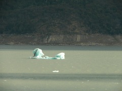 Pequeño glaciar navegando sólo por el Lago