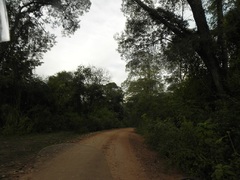 Camino hacia el Parque El Rey