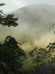Por la amazonia de Perú, camino a Tambopata