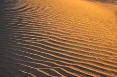 Dunas del Sahara
