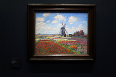 Campos de tulipanes de Claude Monet, Museo de Orsay, París