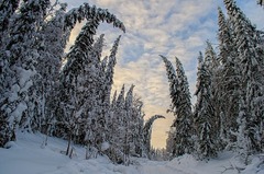 Invierno en Rusia