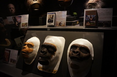 Máscaras de "El planeta de los simios", Museo del cine en Lyon