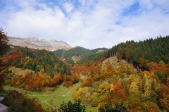 Bosques alpinos de Innsbruck, Austria