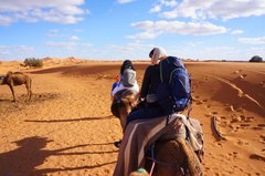 Caravanas de camellos en Merzouga, Marruecos