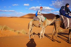 Sobre una caravana de camellos en Merzouga, Marruecos