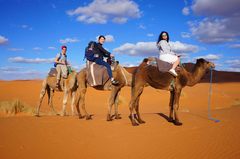 Sobre una caravana de camellos en Merzouga, Marruecos