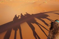 Sobre una caravana de camellos en el Sahara, Marruecos