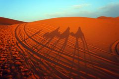 En una caravana de camellos en el Sahara, Marruecos