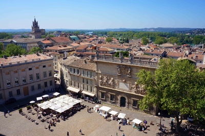 Vista de Aviñón desde el Palacio papal
