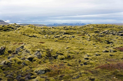 Campos de lava al sur de Islandia