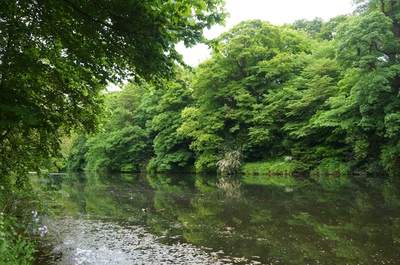 Río Wear en Durham